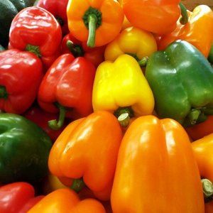 BELL-PEPPERS 2 ~ 8" X 10" photo